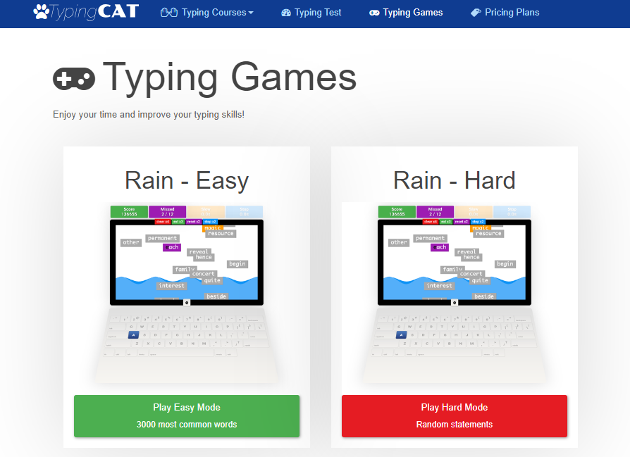 typing cat